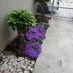 Visoka * Сплит