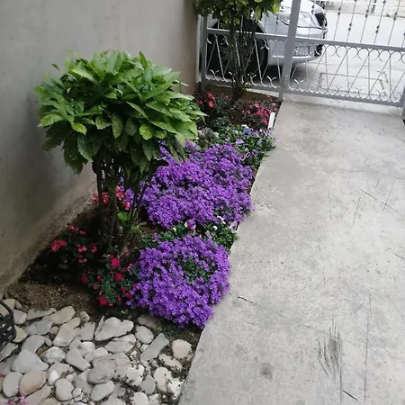 Visoka * Split